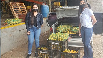 Santa Casa de Misericórdia de Jales recebe doações de tangerina para a campanha “Pomar Solidário